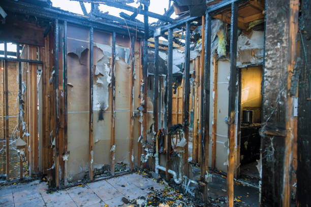 Professional Soot Removal technician working in Lambertville, NJ